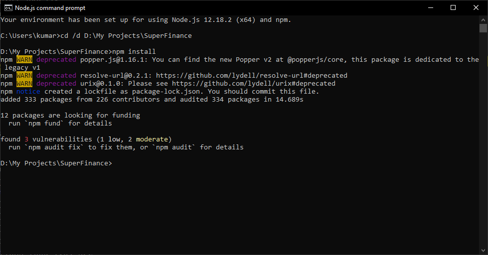 Showing NPM install command execution